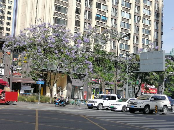 微信图片_20250723094552.jpg